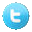 Twitter Icon